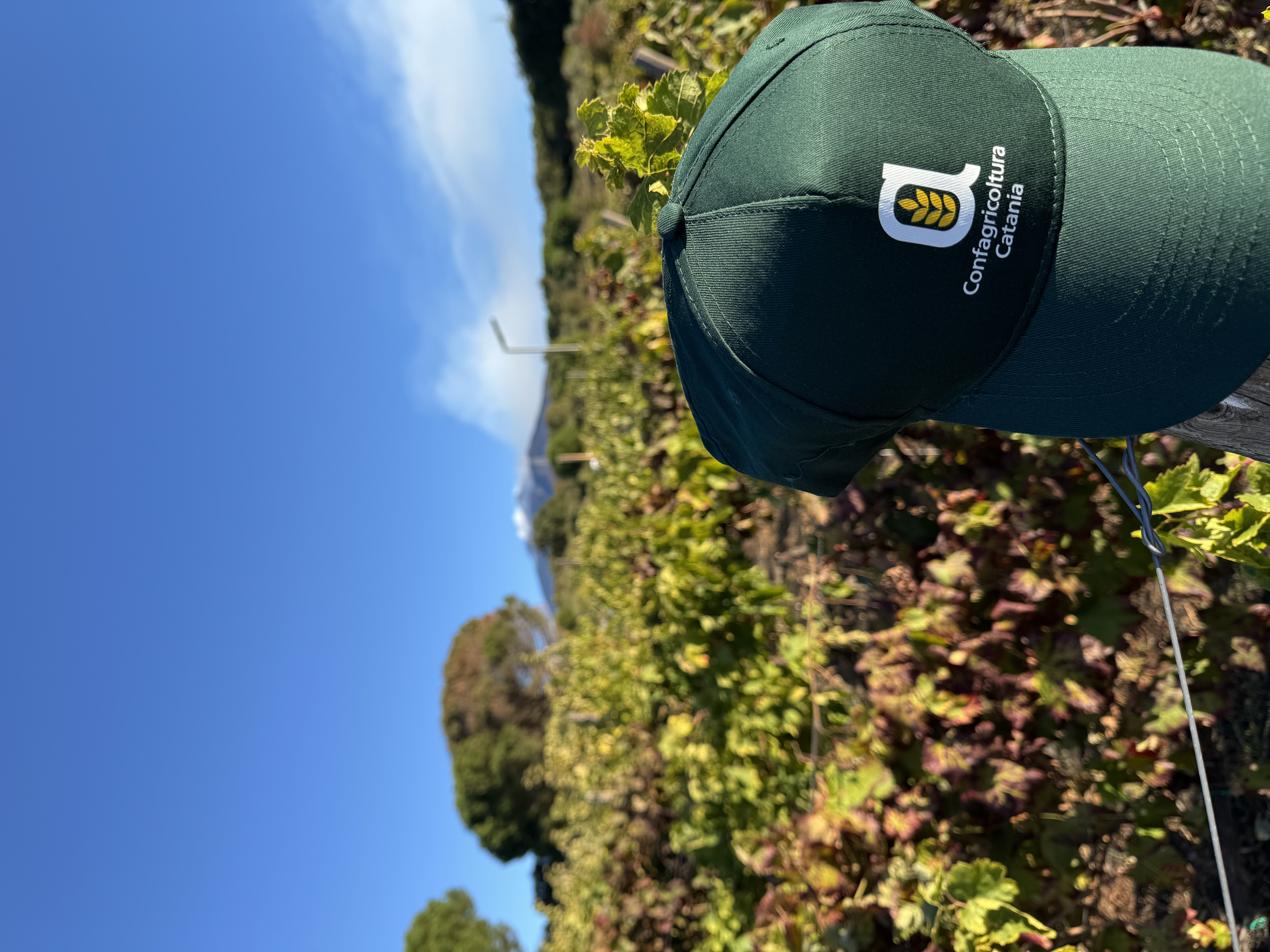 Confagricoltura rappresenta e tutela le imprese agricole della provincia