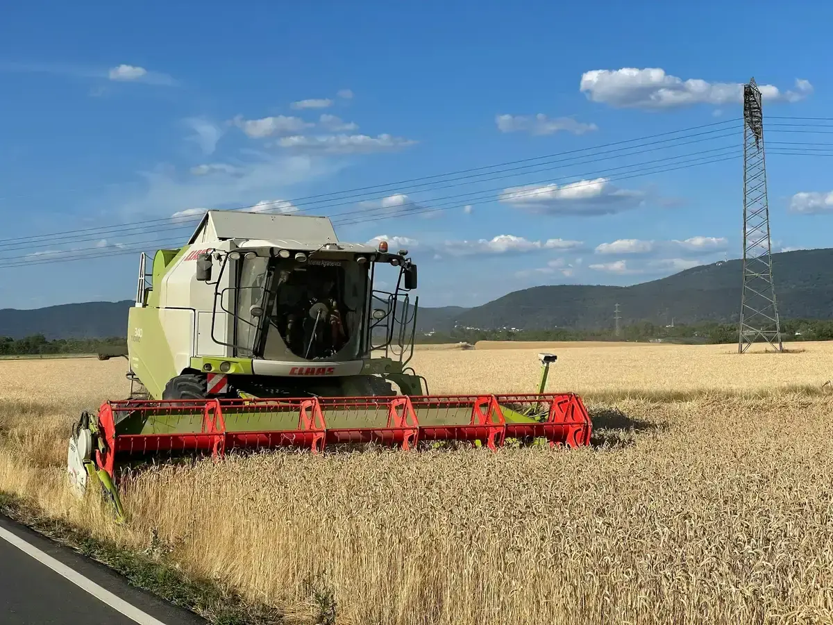 consulenza lavoro agricolo e gestione del personale a catania